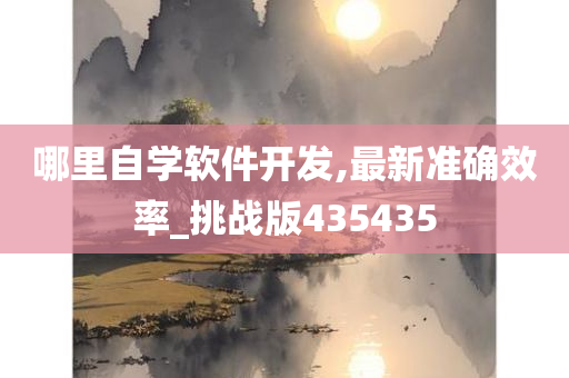 哪里自学软件开发,最新准确效率_挑战版435435