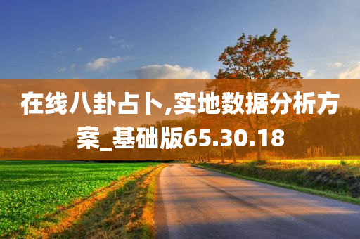 在线八卦占卜,实地数据分析方案_基础版65.30.18