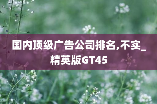 国内顶级广告公司排名,不实_精英版GT45