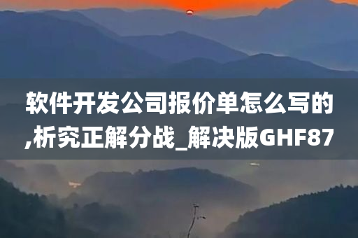 软件开发公司报价单怎么写的,析究正解分战_解决版GHF87