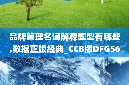 品牌管理名词解释题型有哪些,数据正版经典_CCB版DFG56