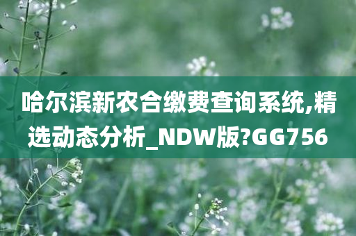 哈尔滨新农合缴费查询系统,精选动态分析_NDW版?GG756