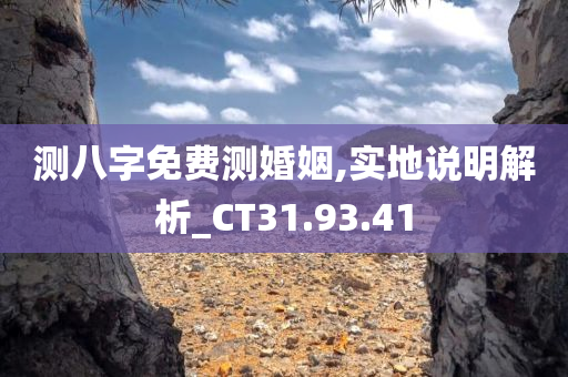 测八字免费测婚姻,实地说明解析_CT31.93.41