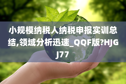 小规模纳税人纳税申报实训总结,领域分析迅速_QQF版?HJGJ77