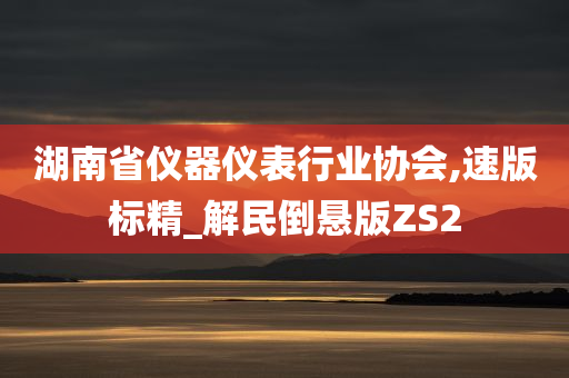 湖南省仪器仪表行业协会,速版标精_解民倒悬版ZS2