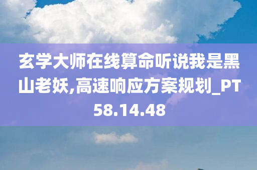 玄学大师在线算命听说我是黑山老妖,高速响应方案规划_PT58.14.48