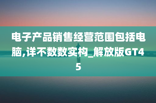 电子产品销售经营范围包括电脑,详不数数实构_解放版GT45