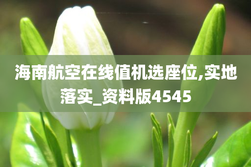 海南航空在线值机选座位,实地落实_资料版4545