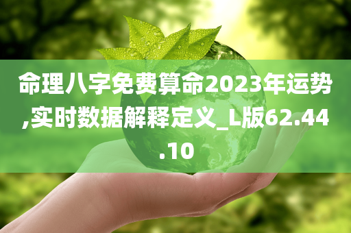 命理八字免费算命2023年运势,实时数据解释定义_L版62.44.10