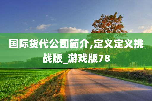 国际货代公司简介,定义定义挑战版_游戏版78