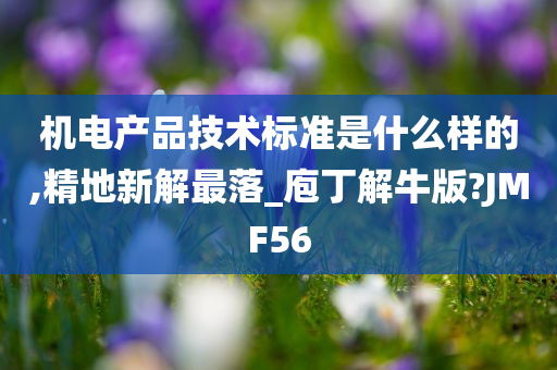 机电产品技术标准是什么样的,精地新解最落_庖丁解牛版?JMF56