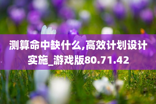 测算命中缺什么,高效计划设计实施_游戏版80.71.42