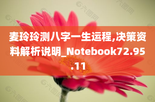 麦玲玲测八字一生运程,决策资料解析说明_Notebook72.95.11