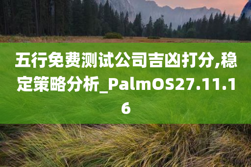 五行免费测试公司吉凶打分,稳定策略分析_PalmOS27.11.16