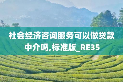 社会经济咨询服务可以做贷款中介吗,标准版_RE35