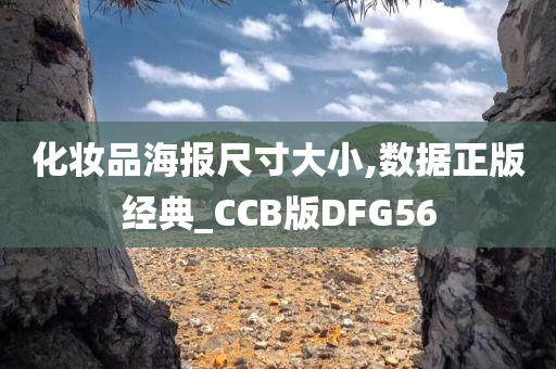 化妆品海报尺寸大小,数据正版经典_CCB版DFG56