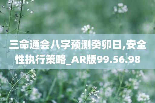 三命通会八字预测癸卯日,安全性执行策略_AR版99.56.98