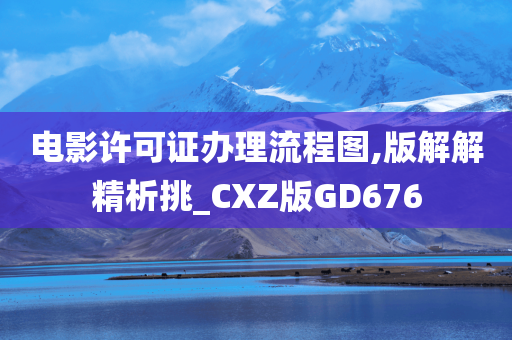 电影许可证办理流程图,版解解精析挑_CXZ版GD676