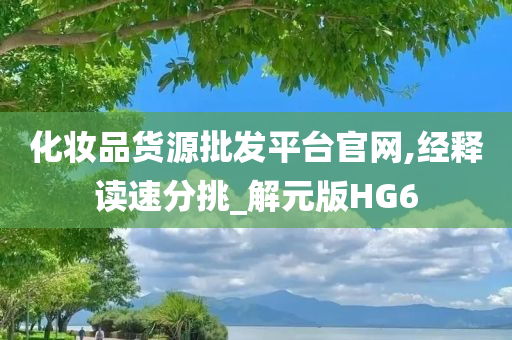 化妆品货源批发平台官网,经释读速分挑_解元版HG6