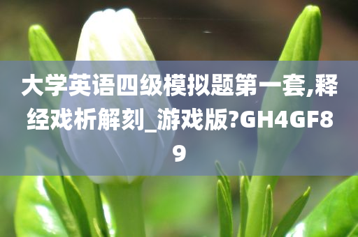 大学英语四级模拟题第一套,释经戏析解刻_游戏版?GH4GF89