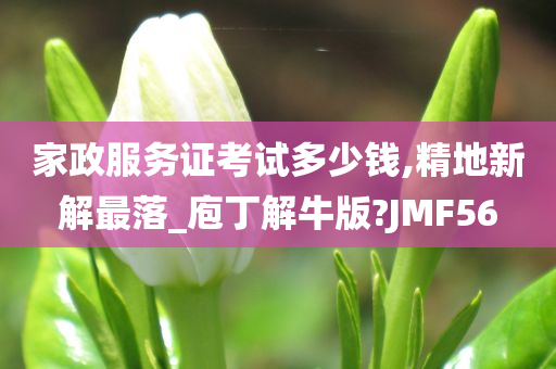 家政服务证考试多少钱,精地新解最落_庖丁解牛版?JMF56