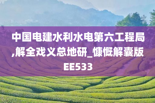 中国电建水利水电第六工程局,解全戏义总地研_慷慨解囊版EE533