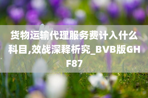 货物运输代理服务费计入什么科目,效战深释析究_BVB版GHF87