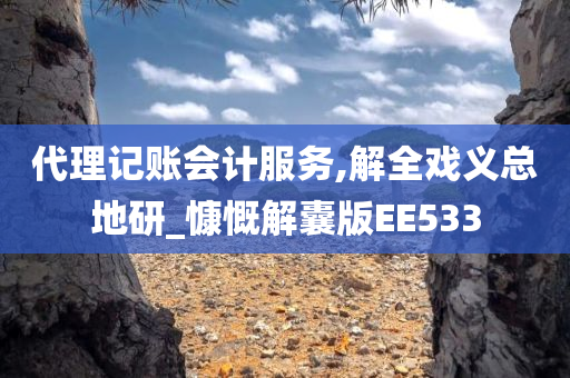 代理记账会计服务,解全戏义总地研_慷慨解囊版EE533