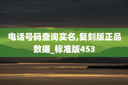 电话号码查询实名,复刻版正品数据_标准版453