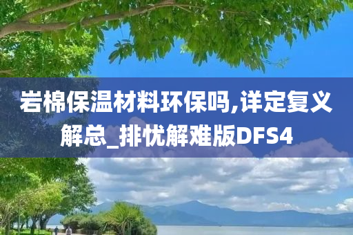 岩棉保温材料环保吗,详定复义解总_排忧解难版DFS4