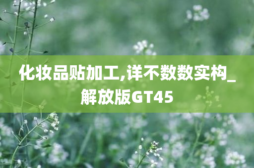 化妆品贴加工,详不数数实构_解放版GT45