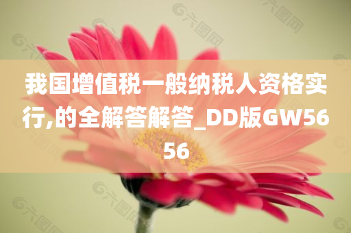 我国增值税一般纳税人资格实行,的全解答解答_DD版GW5656