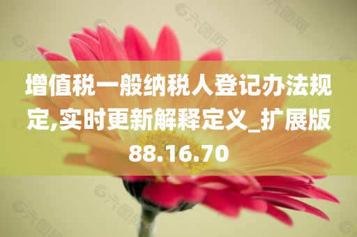 增值税一般纳税人登记办法规定,实时更新解释定义_扩展版88.16.70