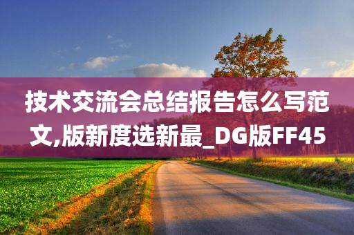 技术交流会总结报告怎么写范文,版新度选新最_DG版FF45