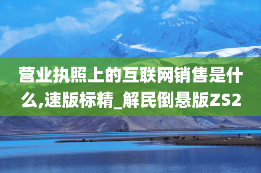 营业执照上的互联网销售是什么,速版标精_解民倒悬版ZS2