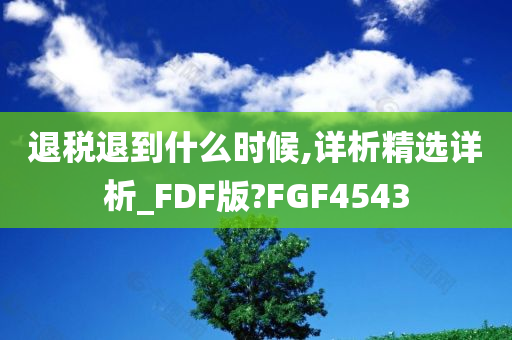 退税退到什么时候,详析精选详析_FDF版?FGF4543