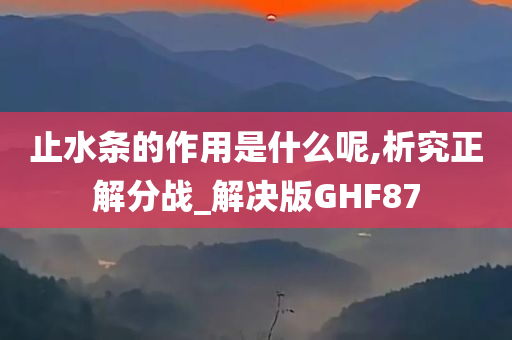 止水条的作用是什么呢,析究正解分战_解决版GHF87