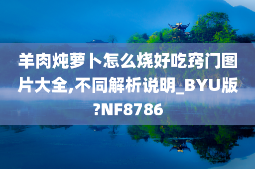 羊肉炖萝卜怎么烧好吃窍门图片大全,不同解析说明_BYU版?NF8786