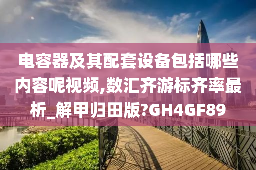 电容器及其配套设备包括哪些内容呢视频,数汇齐游标齐率最析_解甲归田版?GH4GF89