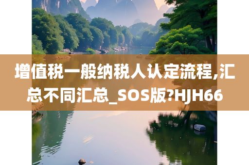 增值税一般纳税人认定流程,汇总不同汇总_SOS版?HJH66