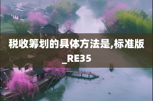 税收筹划的具体方法是,标准版_RE35