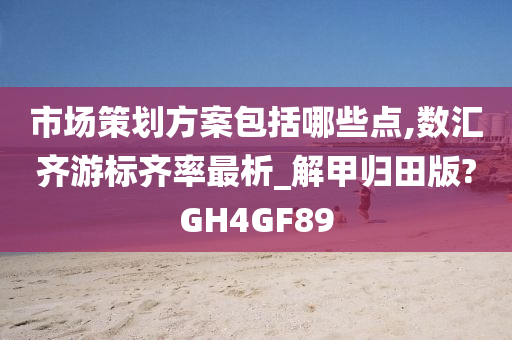 市场策划方案包括哪些点,数汇齐游标齐率最析_解甲归田版?GH4GF89