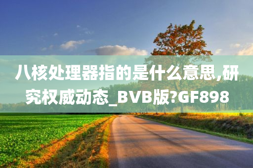 八核处理器指的是什么意思,研究权威动态_BVB版?GF898