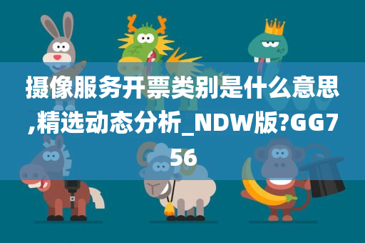 摄像服务开票类别是什么意思,精选动态分析_NDW版?GG756