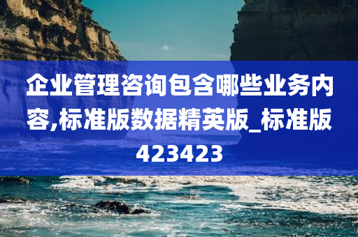 企业管理咨询包含哪些业务内容,标准版数据精英版_标准版423423