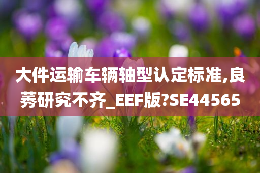 大件运输车辆轴型认定标准,良莠研究不齐_EEF版?SE44565