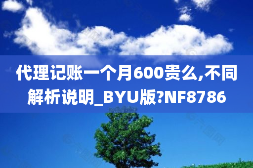 代理记账一个月600贵么,不同解析说明_BYU版?NF8786