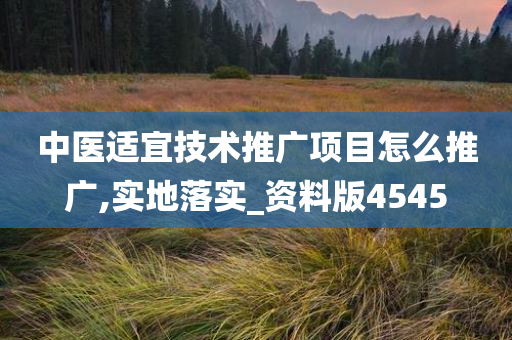 中医适宜技术推广项目怎么推广,实地落实_资料版4545