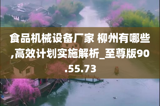 食品机械设备厂家 柳州有哪些,高效计划实施解析_至尊版90.55.73