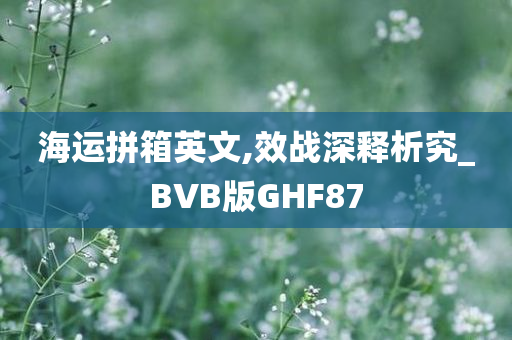 海运拼箱英文,效战深释析究_BVB版GHF87